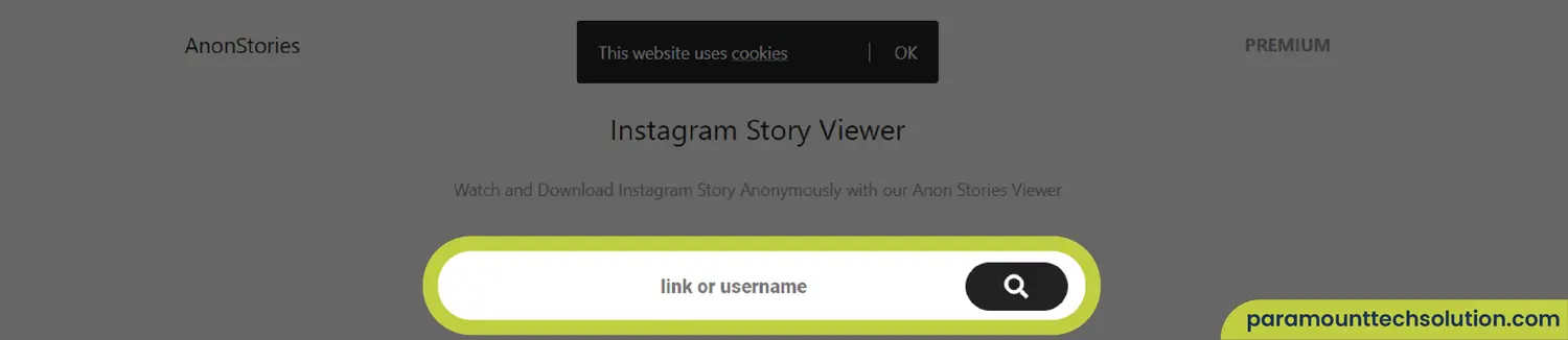 AnonStories.net best Instagram Story Viewer